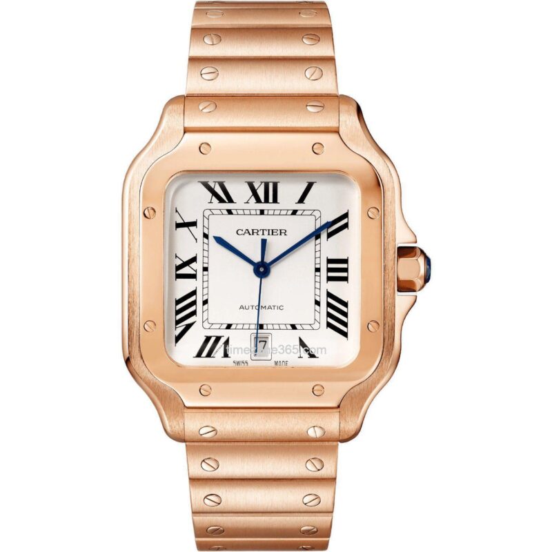 Cartier Santos 39.8Mm Wgsa0018