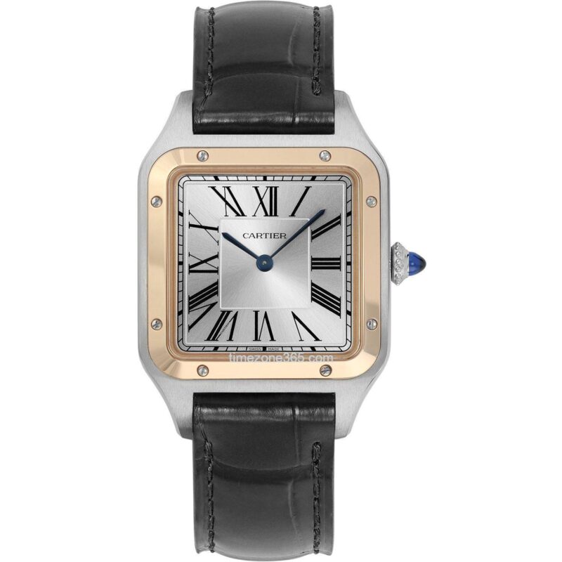 Cartier Santos Dumont Large W2Sa0011