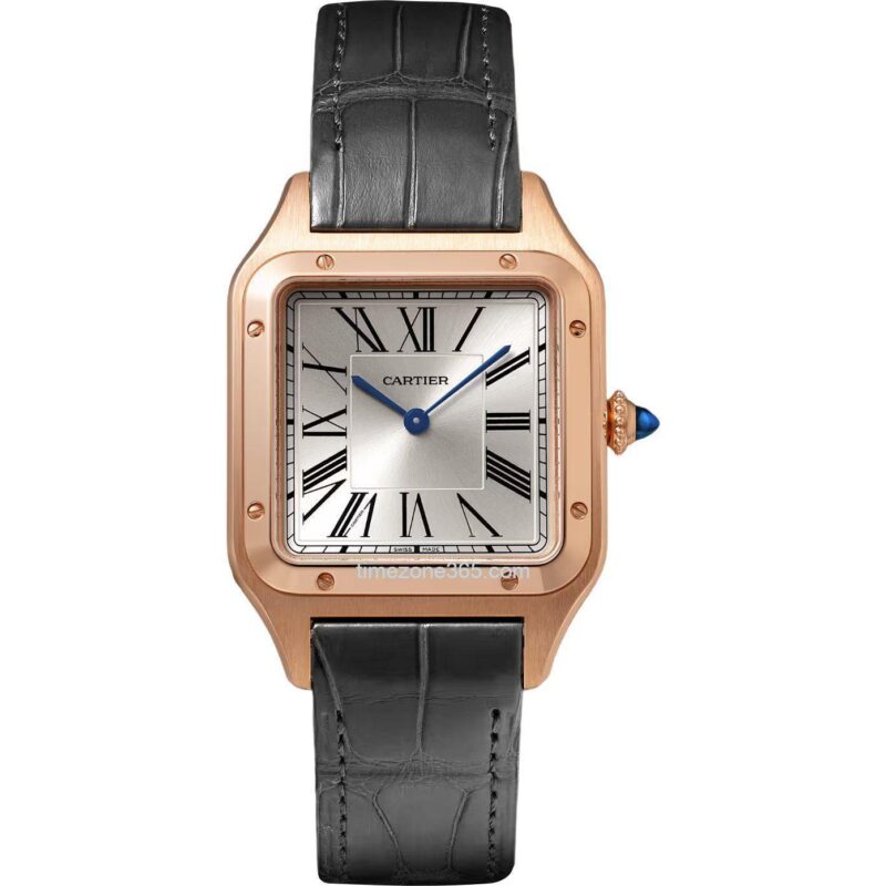 Cartier Santos Dumont Large Wgsa0021