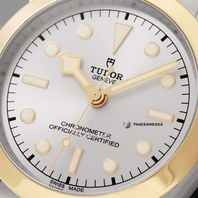 New Tudor Black Bay 39 S&G 79663-0002 - Image 2