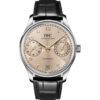 iwc portugieser automatic 42mm iw501702 (copy)