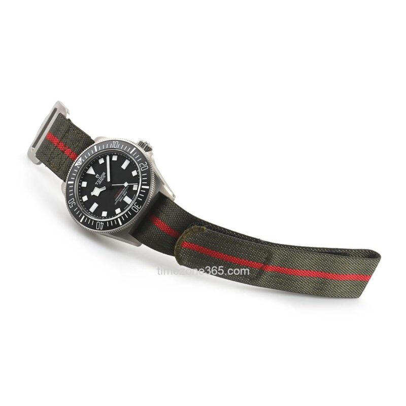 Tudor Pelagos Fxd M25717N-0001 - Image 2