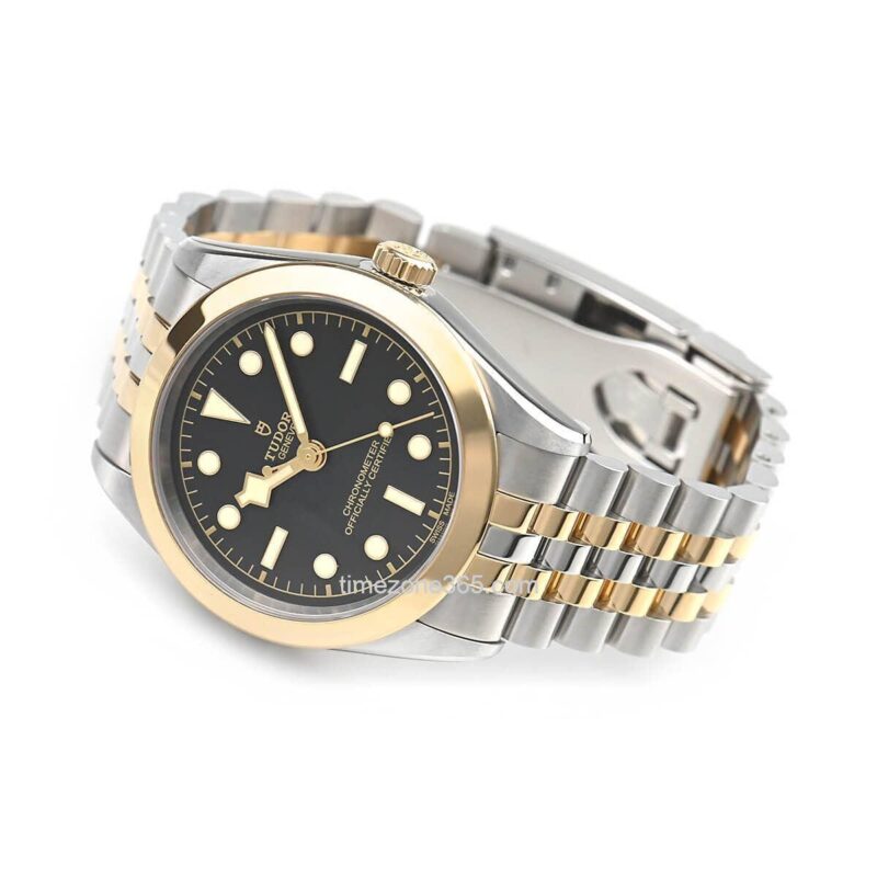 Tudor Black Bay 39 S&G M79663-0001 - Image 2