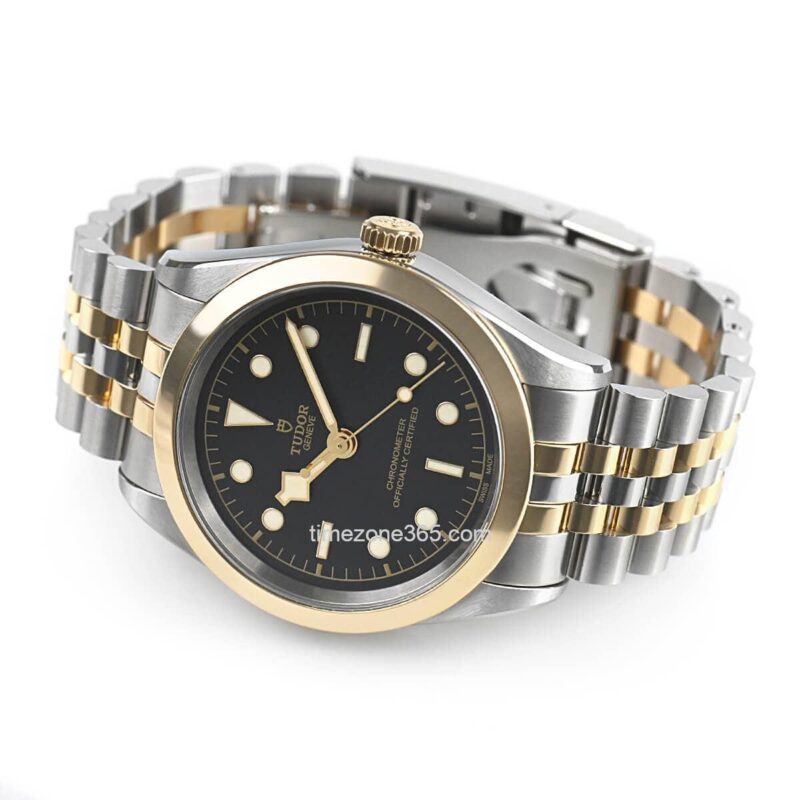 Tudor Black Bay 41 S&G M79683-0001 - Image 2