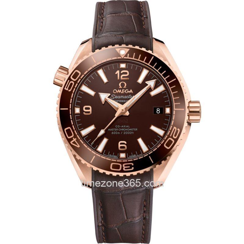 omega seamaster planet ocean 600m 39.5mm 215.62.40.20.13.001 (copy)