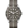 tudor black bay 58 925 39mm m79010sg 0002