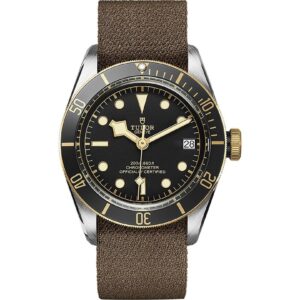 Tudor Black Bay S&G 41mm M79733N-0005