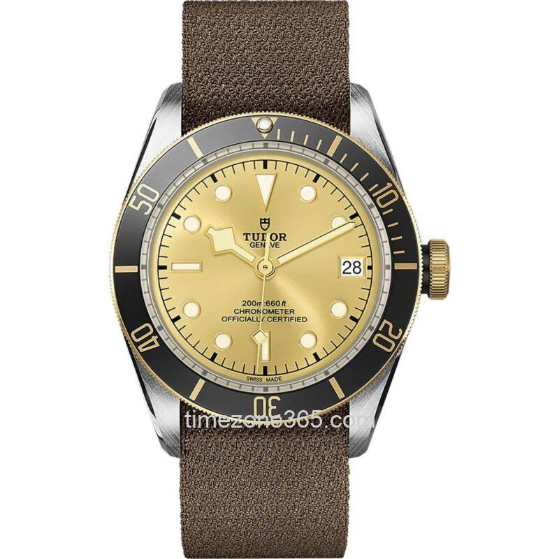 Tudor Black Bay S&G 41mm M79733N-0006