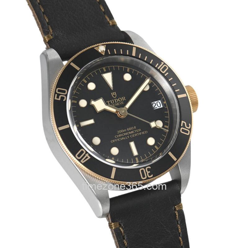 Tudor Black Bay S&G 41mm M79733N-0007 - Image 3