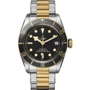 Tudor Black Bay S&G 41mm M79733N-0008