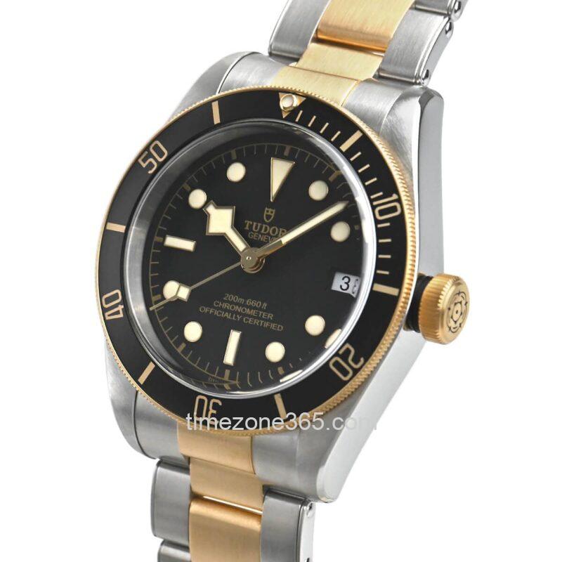 Tudor Black Bay S&G 41mm M79733N-0008 - Image 2